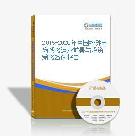 2015-2020年中國排球電商戰(zhàn)略運營前景與投資策略咨詢報告